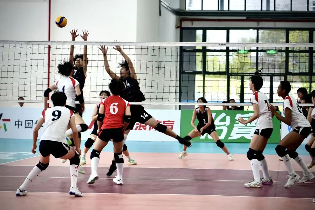 世界赛舞台，排球代表国家出征荣耀