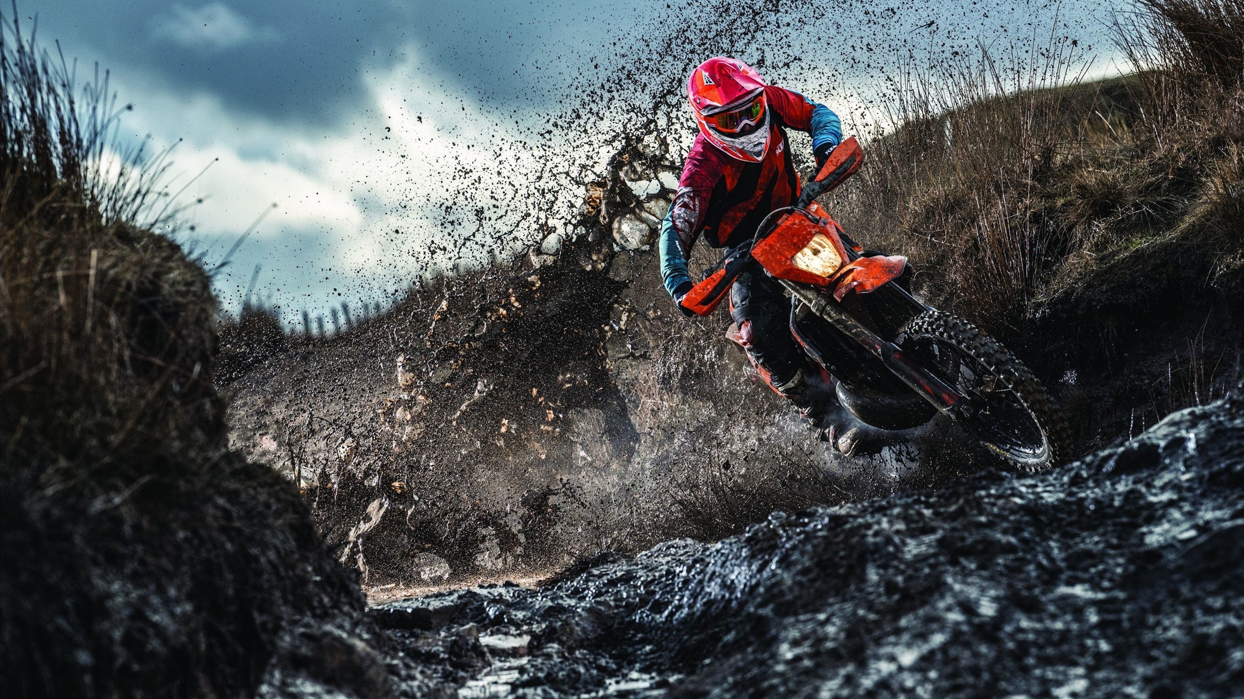 世界杯硝烟外的篮球革命,当森林狼的青春风暴冲垮掘金王朝序章